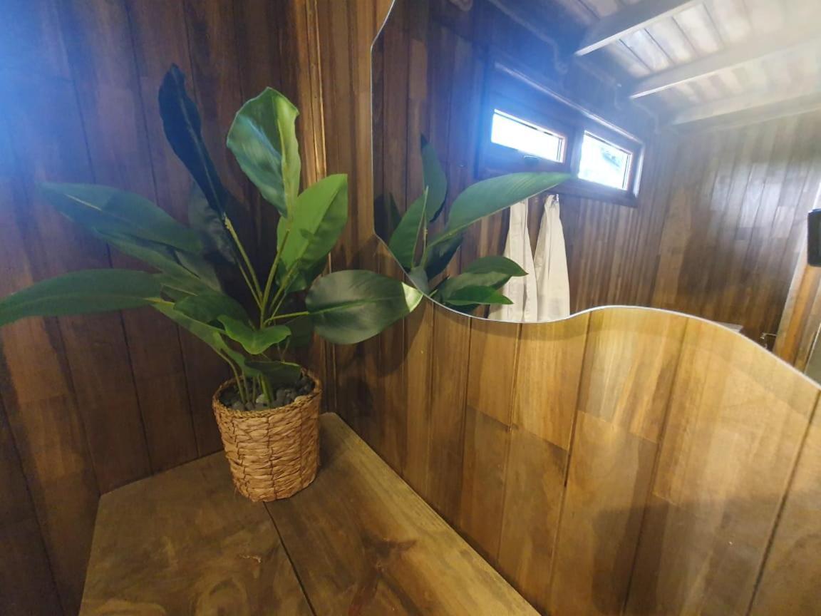 Domos Anulen Apartment Puerto Varas Luaran gambar